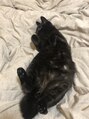 グランツ(GLANZ) 寝方の癖強めな猫ちゃん飼ってます(=^x^=)