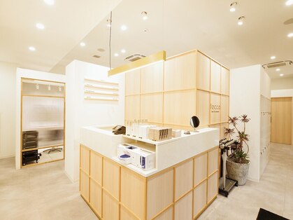 トッカ アイラッシュ 小田原(tocca eyelash)の写真