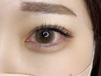リリーアイラッシュ(Lily Eyelash)/フラットラッシュ120本