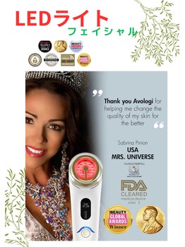 ボディスタイリング(Body Styling)/LEDライト