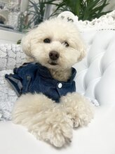 ミランサ ギンザ(MIRANSA GINZA)/看板犬ミラちゃん