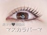 《黒ツヤ★マスカラパーマ》自まつげに濃さを出したい方◎¥5550→¥5000
