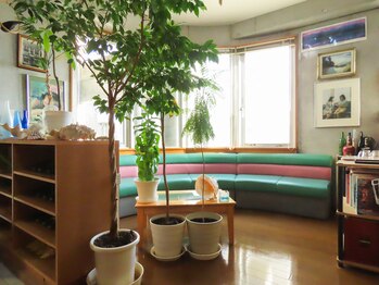 アトラス ストレートカイロプラクティック