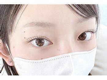 ありる/上下でぱっちり