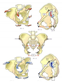 バズ カイロプラクティック(VAZ)/骨盤は開くだけではありません