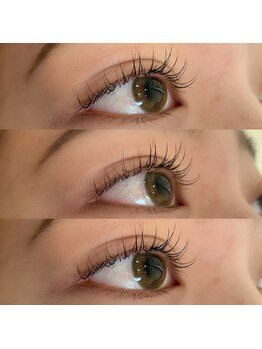 シルフ Hers店(Sylph)/