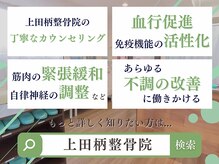 光が丘 上田柄整骨院