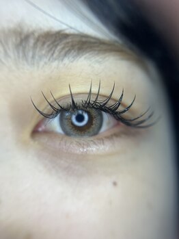 アミューズラッシュ(Amuse Lash)/フラットラッシュ170本