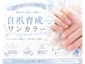 1日1組限定☆230色から選べる《自爪育成ワンカラー》¥9900→¥8000
