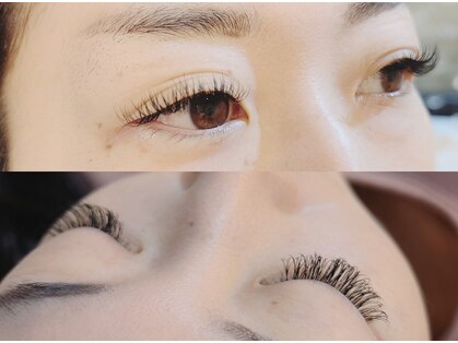 ロワゾブルー(L'Oiseau Bleu)の写真