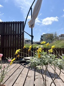 風冴(かぜさえ)/サロンのウッドデッキ