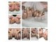 ヴァンネイルサロンアンドフットリラクゼーション(Van Nail Salon & Foot relaxation)の写真