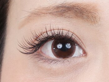 アイラッシュサロン ドール(Doll)/つけ放題[新規クーポン有♪]