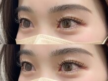 エール(Aile)/フラットラッシュ120本