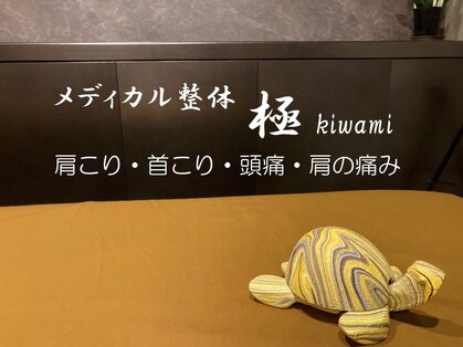 極(Kiwami)の写真