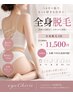 【最新全身脱毛】1回23000円→11500円に！+イオン導入で極上美肌
