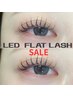 【2、3日限定】LEDフラットラッシュ120本コーティング付き ¥7900