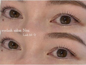 ネア(Nea)/まつげパーマ