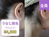 【男女】当日うなじ美人☆【お肌が敏感な方にもOK】Wax脱毛！