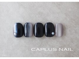 ■シンプルプラン■ 2501