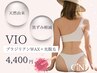 【人気No1/札幌最安値】ＶＩＯブラジリアンワックス＆光脱毛＋専用高保湿付
