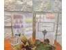 ≪他店オフ無料≫定額デザイン¥7,000 ◇カラーチェンジOK！