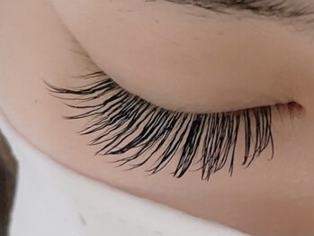 カラン 焼津店(CALIN)/フラットラッシュ140本