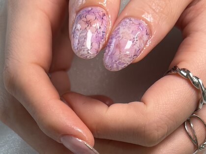 リノ(rino)の写真