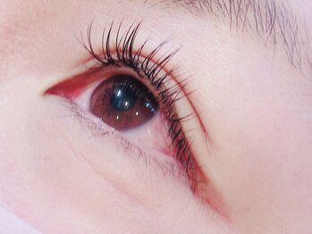 ヴァン カウンシル 川中島店(VAN COUNCIL)/ Cカール セーブルラッシュ