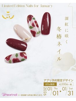 1月アプリ予約限定1