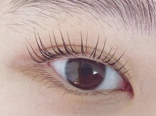 キャリコ(calico)/