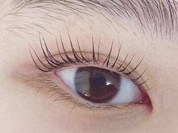 キャリコ(calico)/