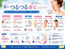 アイリス(AIRIS)