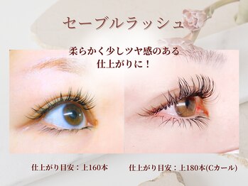 シュシュ(chou chou)/セーブルラッシュ