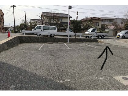 リリアン(Lilian)の写真