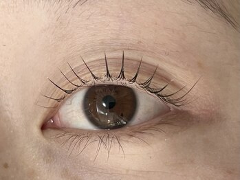 タムタム 市川(tamtam)/立ち上げデザイン