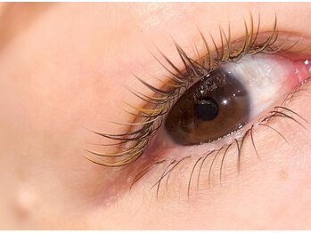 ベリンダ 表参道(BELINDA)/【ブラウン/グリーン/ブロンド】