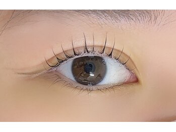 メイプル 石手店(Maple)/