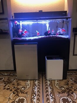 中華街整体院/ジアイーノと最新加湿器を設置