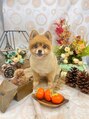 ポーラ リサ 南船場店(POLA R－isa)&nbsp;実家のポメラニアン、みかんちゃん♪なぜかめっちゃ嫌われてる笑