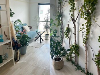 みずうみ(Mis.umi)の写真/心も身体も休める。湖のように静かで安らげる癒しの空間を。オアシスとなるみずうみを[仙台駅スグ＊22時迄]