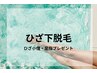 【ひざ下脱毛】美肌効果あり♪ 10%off