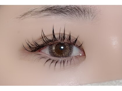 eyel.の写真