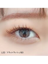 ベリール 南平岸店(Be'Leel)/LED フラットラッシュ180本