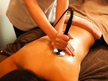 ボディオーガナイザー ヒナ(Body Organizer HINA)/ラジオ波~背中Ver~