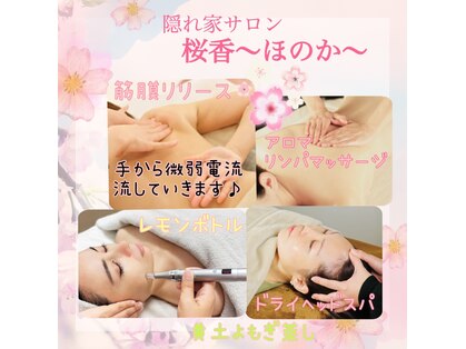 桜香(ほのか)の写真