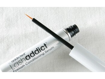 カランコエ(Kalanchoe)/ラッシュアデイクト取り扱い