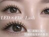 【高持続】LED×フラットラッシュ付け放題/他店オフ無料