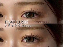アイル(eil.)/フラットラッシュ120本