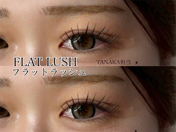 アイル(eil.)/フラットラッシュ120本